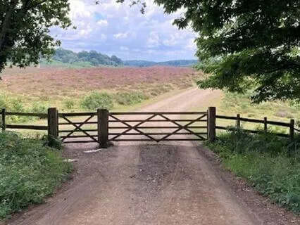 The Path From Here (Poem)