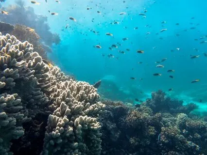 The Path Of Abundance