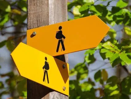 A Guided Color Walking Meditation For Mindfulness