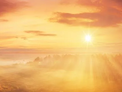 The Path Of Conscious Creatorship