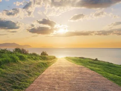 The Path Of Forgiveness