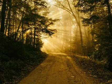 The Path Of Giving And Receiving