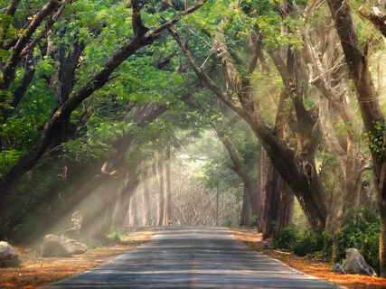 The Path Of Least Resistance