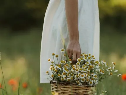 Carry Only What Carries You