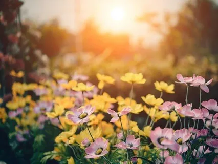 The Path To Cultivating A Thriving Mental Landscape