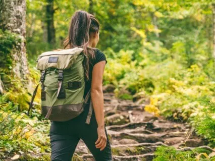 The Path To Embracing Change