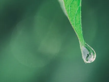 The Path To Harmonic Happiness 