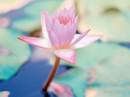 The Path To Real Self Confidence