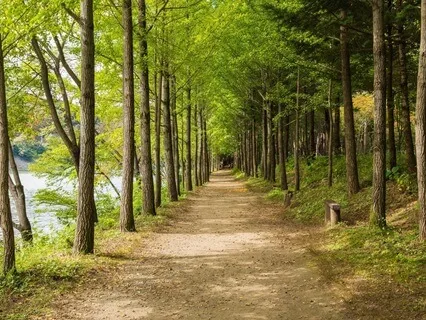 The Pathway To Inner Peace