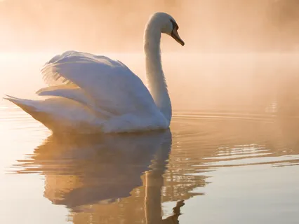 The Peace of Just Being