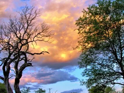 The Peace That Lives Within The Question