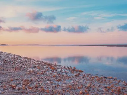 The Peaceful Calm Ocean Sings