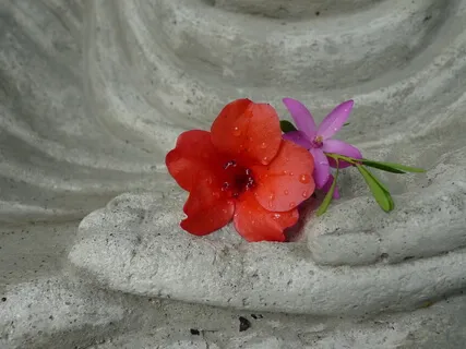 The Peaceful Heart Of Equanimity 