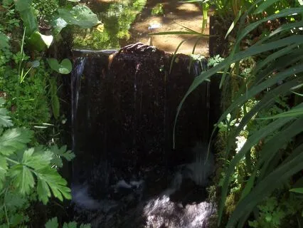 The Peaceful Lake - Calm, Clarity, Connection (No Music)