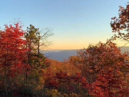 Kids: Peaceful Quiet