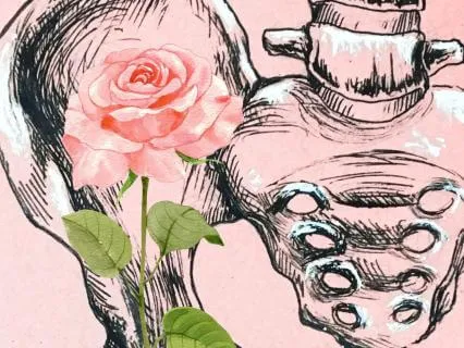 The Pelvis As Somatic Centre And Creative Matrix