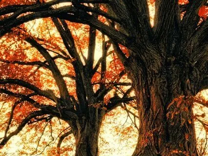 The People Pleaser Part Transmutation