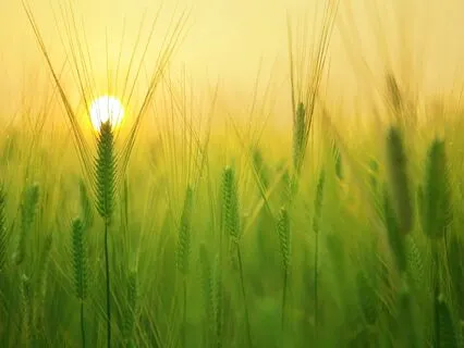 The Perfect Morning Activation For A Bright Positive Day