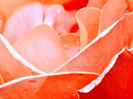 The Perfect Pause 03 Cum Erubuerint