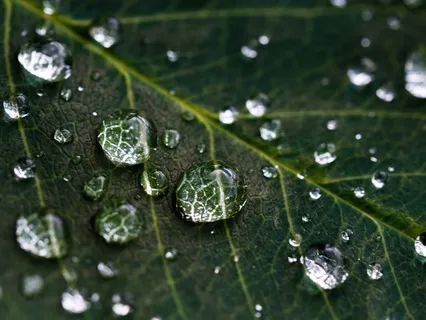 The Perfect Pause 04 O Cruor Sanguinis