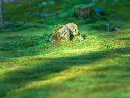 The Perfect Pause 09: Itsuki Lullaby