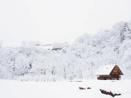 The Perfect Pause 10: One, Two, Three, Search!