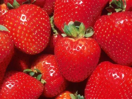 The Perfect Strawberry | Children's Story