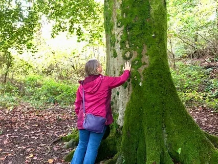 The Perfection Of Imperfection - Walks In Nature 01