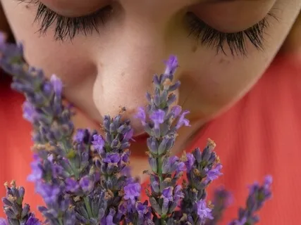 The Perfume Of The Soul