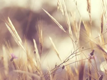 The Philokalia: On Guarding the Intellect