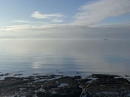 The Physiological Sigh: Simple DeStress Breathwork Technique