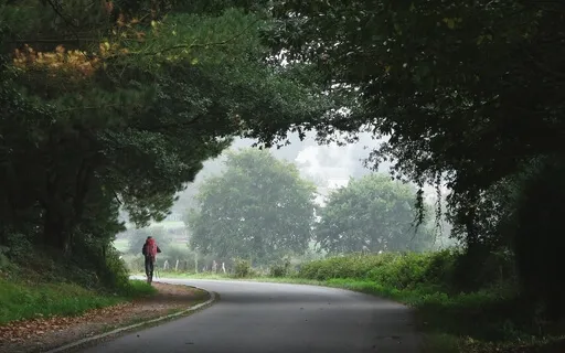 The Pilgrimage Of Business