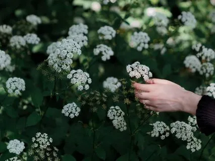 The Pinnacle Of Relaxation