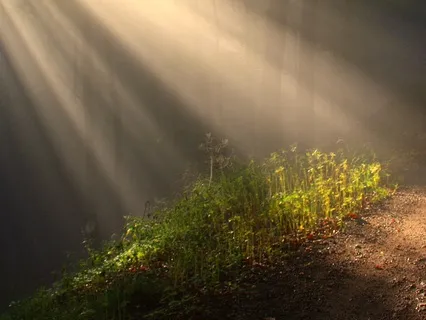 The Place Where You Are Always Loved