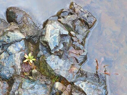 The Plasmatic Inner Blueprints Of The 12-Dimensional Axis