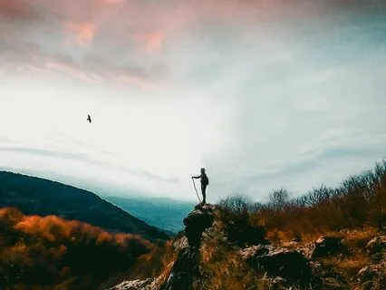 The Play Of Life