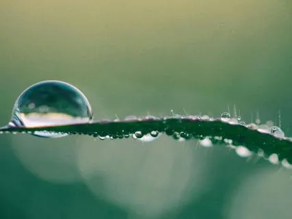 The Pleasure Of The Present Moment