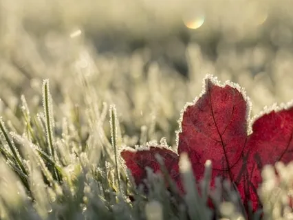 The Point Of Perspective