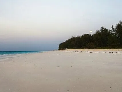 The Polarity Between Coccyx And Crown