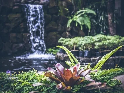 Put Stress In Perspective: The Pond In The Woods