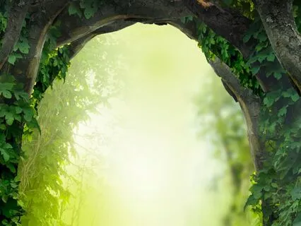 Portal Of Possibility