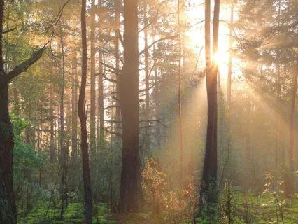 The Possibilities Of Concentration