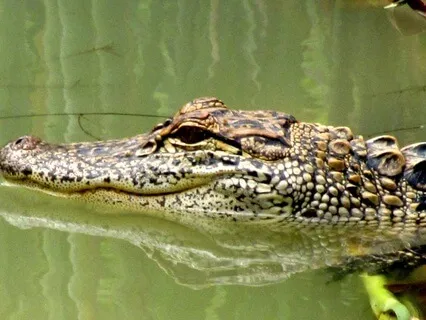 The Potential In Scary Moments