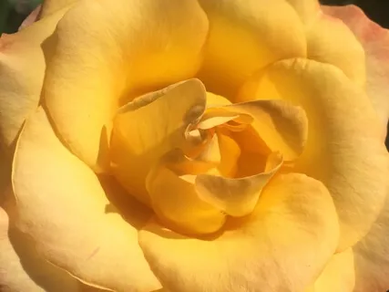 The Power Meditation - Tapping Into Your Divine Light