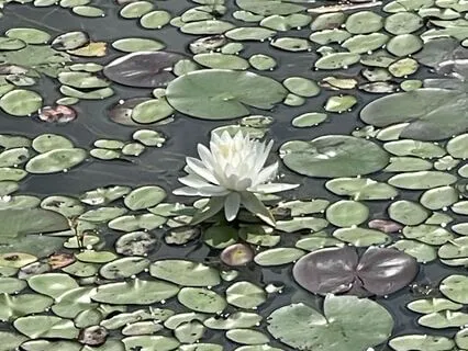 The Power Of Agreement In Marriage