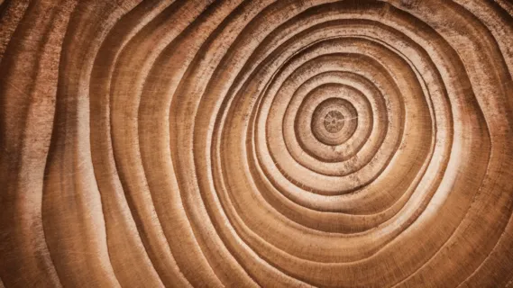 The Power Of Attention  - 20-Minute Daily Insight