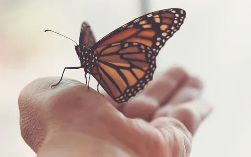 The Power Of Authenticity