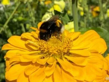 Guided Meditation: "The Power Of Being Now"