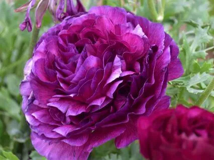 The Power Of Belief - Reclaiming Your Truth