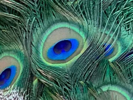 The Power Of Believing